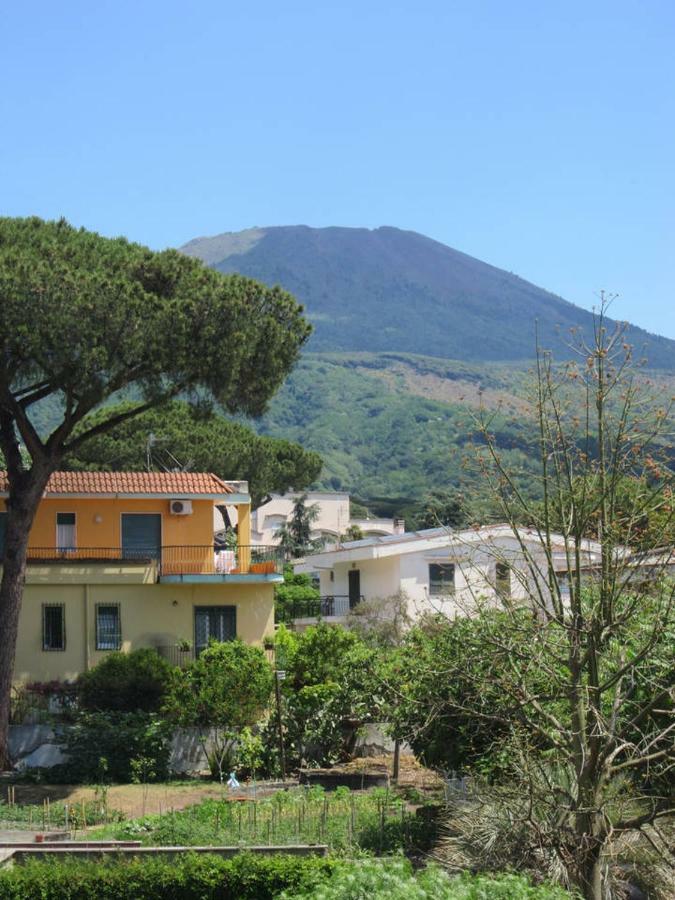 Casa Del Cappero Daire Torre del Greco Dış mekan fotoğraf